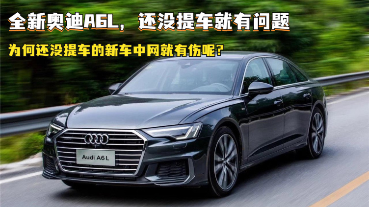 奥迪A6L在中国市场的成功有目共睹，中大型车市场的常青树