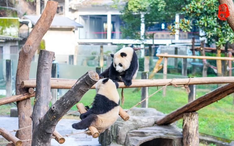 重慶動物園是重慶最早的城市公園,因位於西面,以前叫西區公園,1953年