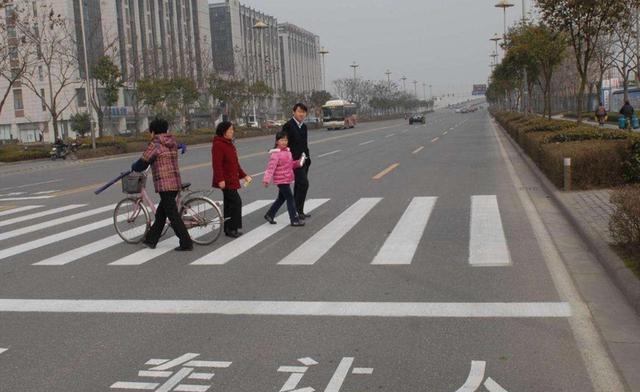 禮讓行人或將被取消千萬車主歡呼專家表示早就該這樣