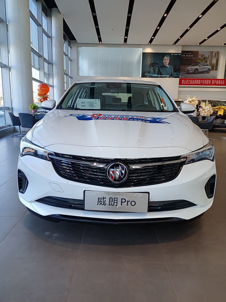 肆意张扬的青春有威朗pro相伴