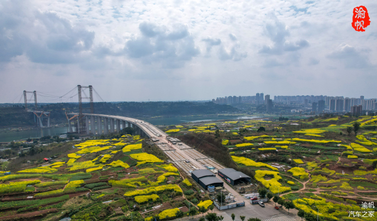 潼南赏花地图:东升大桥头,遍地流金,美如画卷