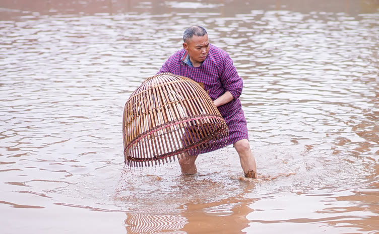 重庆乡村生活放水抓鱼收获满满乐趣多多