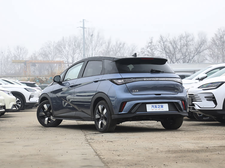 比亚迪海豚时尚前卫小型电动汽车