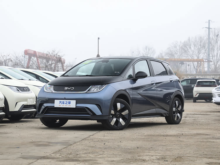 比亚迪海豚时尚前卫小型电动汽车