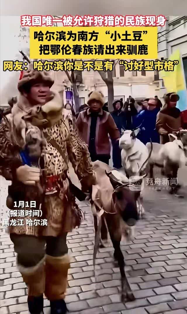 哈尔滨摔出王炸,为南方"小土豆"把鄂伦春族请出来驯鹿!