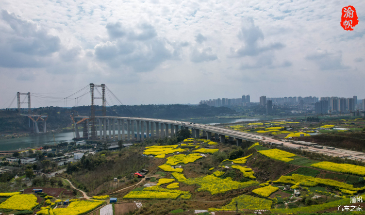 潼南赏花地图:东升大桥头,遍地流金,美如画卷