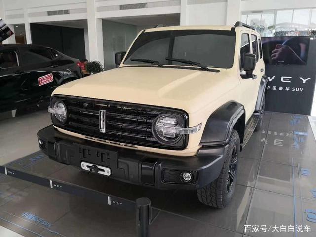 weytank300价格图片