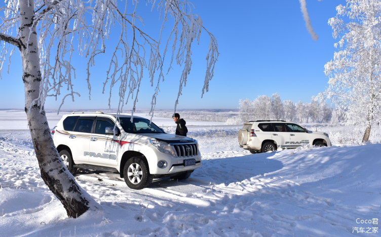 霸道车在零下二十度左右的气候下，从伊尔库兹克出发去贝加尔湖，途径一片白桦林留念